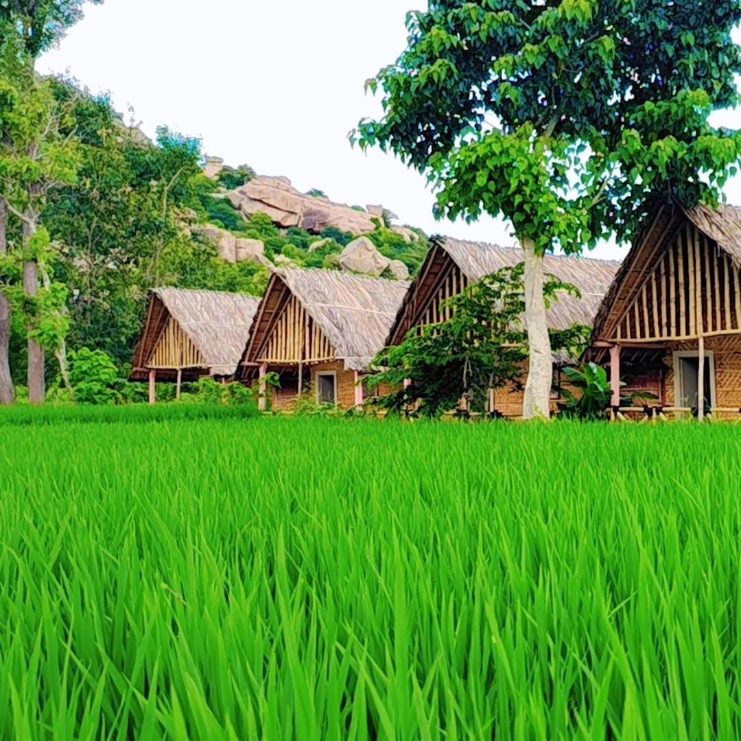 Om Shanti Om Home Stay & Cafe Hampi Exteriér fotografie